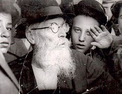 Rabbi Avraham Yeshaya Karelitz