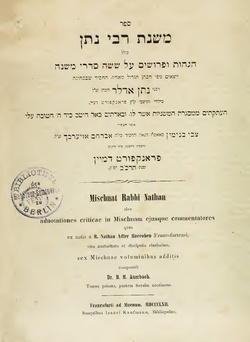 rabbi-natan-adler-227