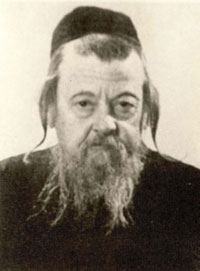 Rabbi Dov Berish Weidenfeld