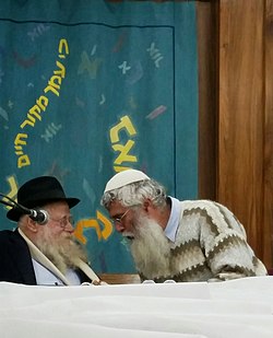 Rabbi Adin Steinsaltz