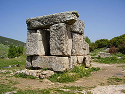 Shammai the Elder