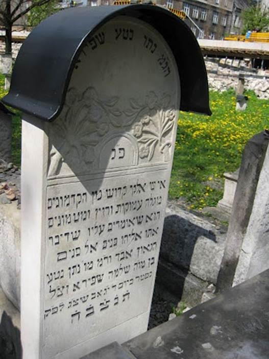 rabbi-natan-neta-shapira-61