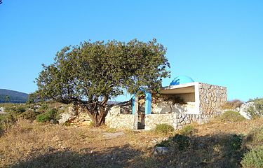 Rabbi Chanina Segan HaKohanim  