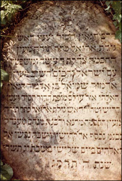 רבי שמואל שניאורסון
